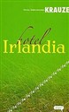 Hotel Irlandia 