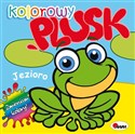 Kolorowy plusk Jezioro 