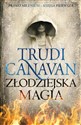 Złodziejska magia  