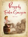 Przygody Tomka Sawyera   