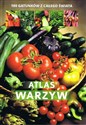 Atlas warzyw 180 gatunków z całego świata polish books in canada