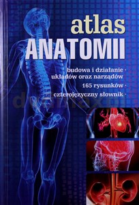 Atlas anatomii to buy in Canada
