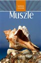 Muszle - Rafał Wąsowski, Aleksander Penkowski Polish bookstore
