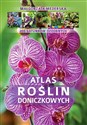 Atlas roślin doniczkowych 200 gatunków ozdobnych - Małgorzata Mederska