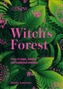 Witch's Forest Trees in magic, folklore and traditional remedies Polish Books Canada