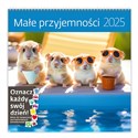 Kalendarz 2025 30x30 Małe przyjemności miesięczny, na spirali, wiszący, z naklejkami online polish bookstore