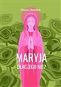 Maryja. Dlaczego nie? buy polish books in Usa