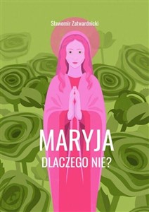 Maryja. Dlaczego nie? buy polish books in Usa