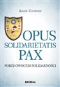 Opus solidarietatis Pax Pokój owocem solidarności in polish