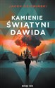 Kamienie Świątyni Dawida  pl online bookstore