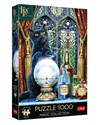 Puzzle 1000 Premium Plus Quality Magic Collection: Uczeń czarownicy  