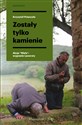 Zostały tylko kamienie Akcja "Wisła": wygnanie i powroty pl online bookstore