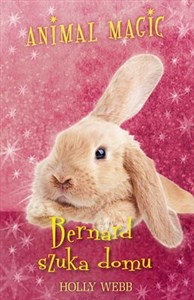 Animal Magic Bernard szuka domu to buy in USA