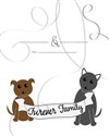 Wedding Guest Book for Dog Lovers Dog Wedding Guest Book chicago polish bookstore
