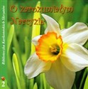 O zarozumiałym narcyzie część 2 - Maria Nienartowicz