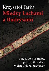 Między Lachami a Budrysami Szkice ze stosunków polsko-litewskich w dziejach najnowszych polish usa