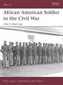 Warrior 114 African American Soldier in the Civil War USCT 1862-66 Polish Books Canada