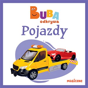 Pojazdy chicago polish bookstore