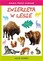 Zwierzęta w lesie Moje hobby - Beata Guzowska, Tina Zakierska