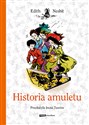 Historia amuletu Polish Books Canada