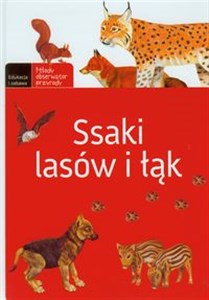 Ssaki lasów i łąk Bookshop