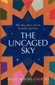 The Uncaged Sky My 804 Days in an Iranian Prison bookstore