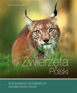 Zwierzęta Polski 