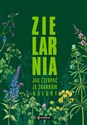 Zielarnia Jak czerpać ze skarbów natury Polish bookstore