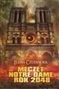 Meczet Notre Dame 2048 - Elena Czudinowa
