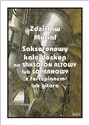 Saksofonowy kalejdoskop na saksofon altowy  Polish bookstore