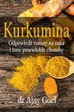 Kurkumina odpowiedź natury na raka i inne przewlekłe choroby - Ajay Goel