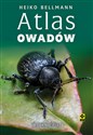 Atlas owadów  