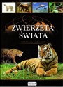 Zwierzęta świata dla najmłodszych  