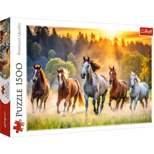 Puzzle Dzikie konie 1500 Polish bookstore