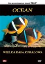 Ocean: Wielka rafa koralowa online polish bookstore