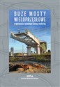 Duże mosty wieloprzęsłowe buy polish books in Usa