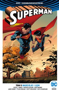 Superman Tom 5 Nadzieje i lęki in polish
