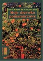 [Audiobook] Moje drzewko pomarańczowe buy polish books in Usa