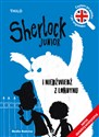 Sherlock Junior i niedźwiedź z Londynu books in polish