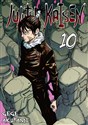 Jujutsu Kaisen 10  buy polish books in Usa