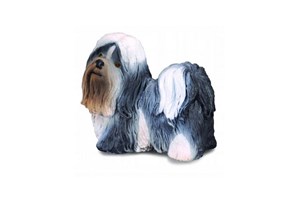 Pies rasy Shih Tzu chicago polish bookstore