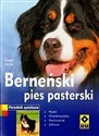 Berneński pies pasterski Poradnik opiekuna polish books in canada