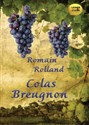 [Audiobook] Colas Breugnon - Rolland Romain to buy in USA