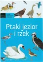 Ptaki jezior online polish bookstore