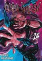 JUJUTSU KAISEN. Tom 14  to buy in USA