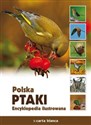 Polska Ptaki Encyklopedia ilustrowana  