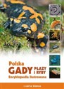 Polska Gady płazy i ryby Encyklopedia ilustrowana - Michał Grabowski, Radomir Jaskuła  