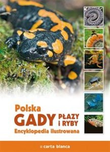 Polska Gady płazy i ryby Encyklopedia ilustrowana  