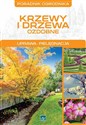 Krzewy i drzewa ozdobne - Michał Mazik