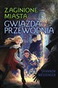 Gwiazda przewodnia. Zaginione Miasta. Tom 5  